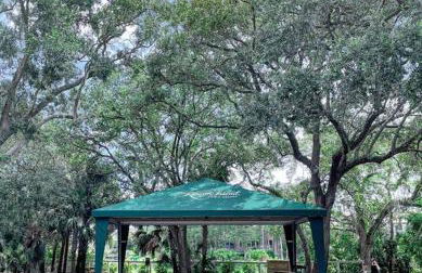 The Bromeliad at Turtle Cove Villas - Foto 26