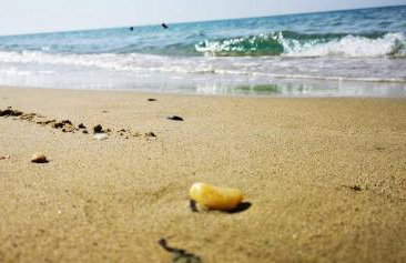 Lena Summer Sea Family Vacation House & Yard Chalkidiki - Foto 21