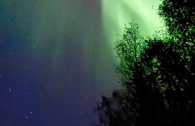 4 Star Holiday Home in Storsteinnes - Foto 41