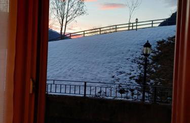 Appartamento Val di Sole - Commezzadura - Photo 27