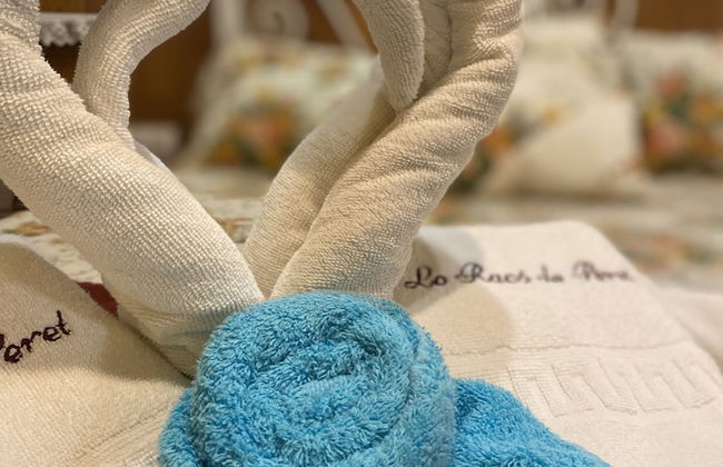 Lo Racó de Peret - Foto 7