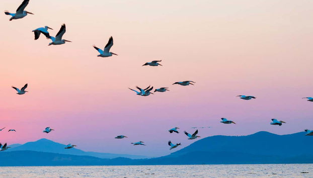 Ajijic + Lake Chapala Tour - Foto 4