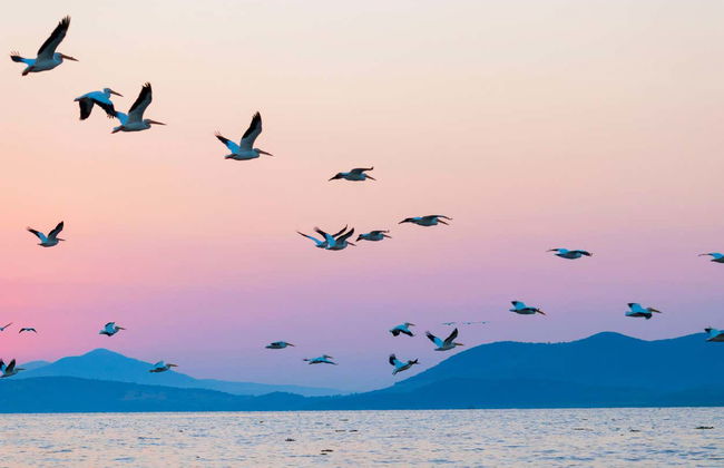 Ajijic + Lake Chapala Tour - Photo 4