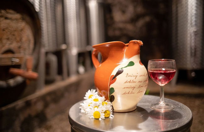 Apartment at the Vesel Homestead, Local Experience - Foto 14