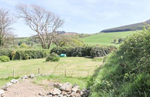 Ael-y-bryn - Photo 24