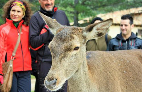Casa el Escalerón, #ExperienciasRurales - Foto 56