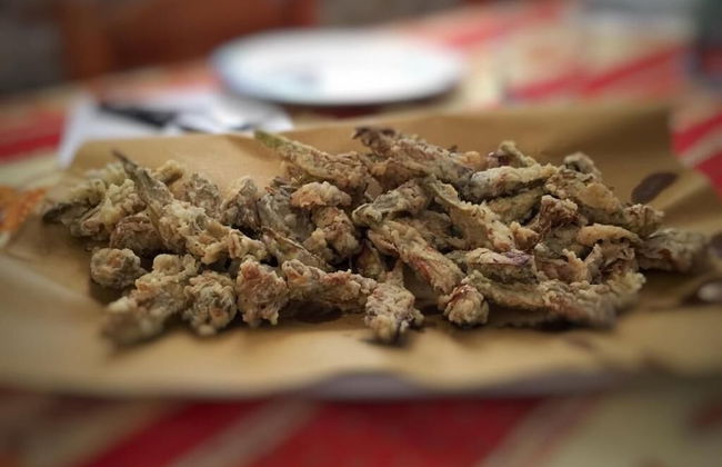 Poderaccio Alto - Foto 18