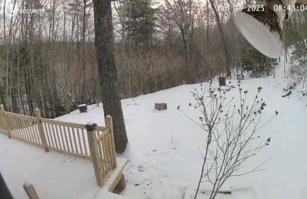 Perfectly Imperfect Cabin - Foto 23