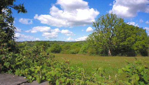 1 bedroom Annex in the heart of Amman Valley - Foto 5