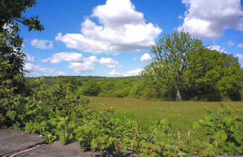 1 bedroom Annex in the heart of Amman Valley - Foto 5