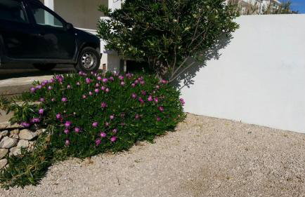 Sol apartman - Photo 25