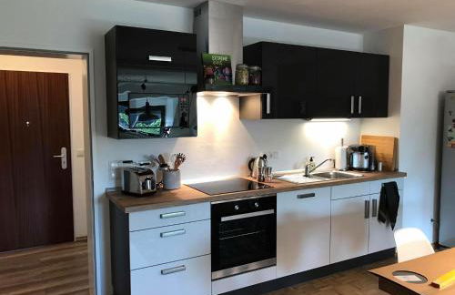 Domus Merian XII - Foto 12