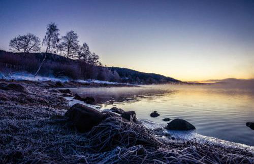 Ferienwohnung am Schwellenweiher - Foto 28
