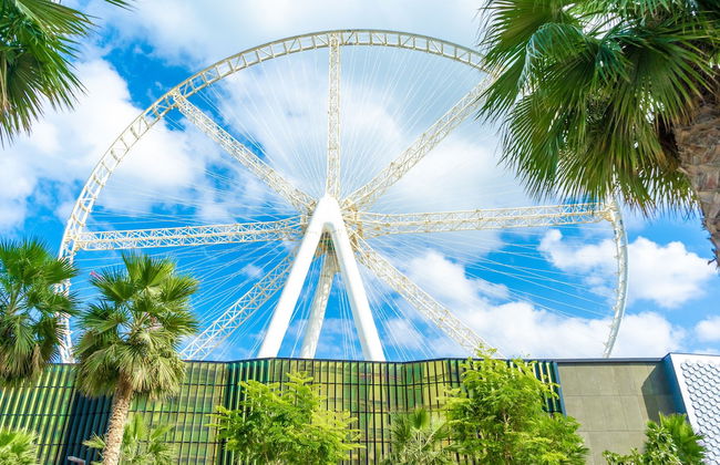 FAM Living - Bluewaters Island - Ain Dubai - Photo 27