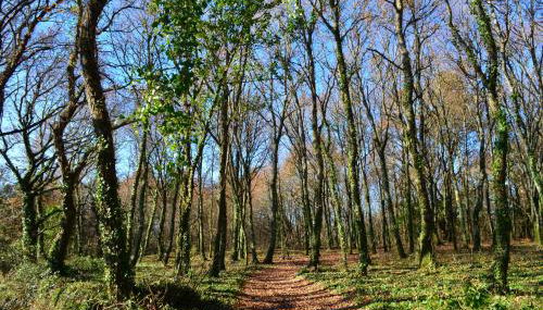 Casa de la Pradera - Foto 3