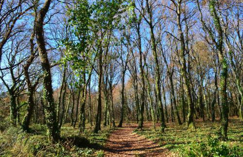 Casa de la Pradera - Foto 3