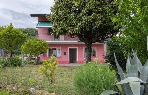 La collina dei nonni - Tarzo - Foto 1