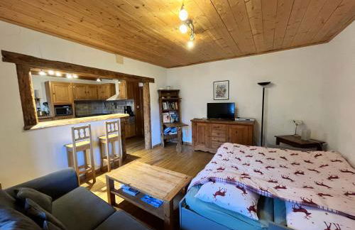 Appartement spacieux proche des télécabines et du centre ville avec jardin privé - Foto 12