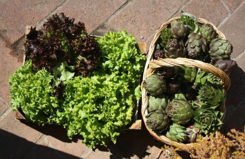 Fattoria San Donato - Foto 65