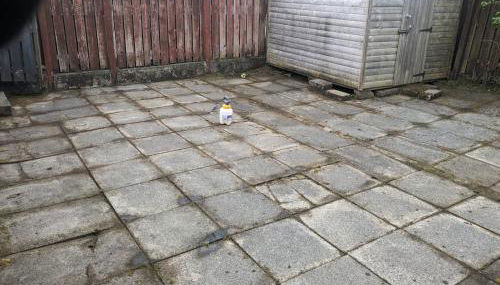 Our Salad Days Lochgilphead - Foto 2, Garden