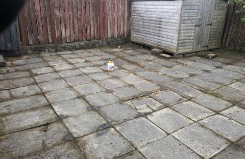 Our Salad Days Lochgilphead - Foto 2