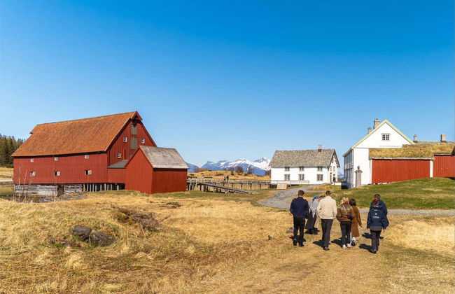 Kjerringøy & Nordfjord Cruise - Foto 6