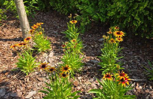 Komfortowy Dom Całoroczny - sauna, jacuzzi, bilard - Foto 38