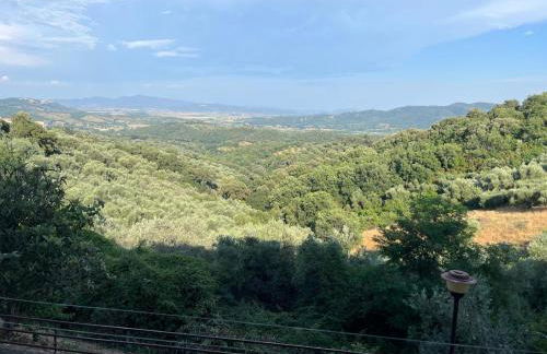 Caldana "La Perla della Maremma" - Foto 2