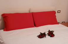 Bella Vista FIDENZA - Photo 4