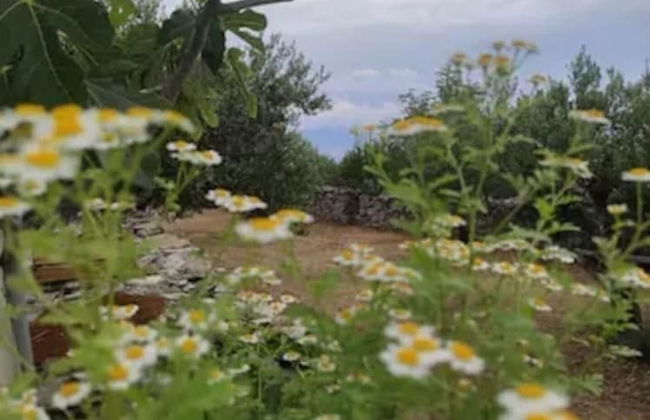 Lovely Cottage With sea Views in Selca, Croatia - Foto 65