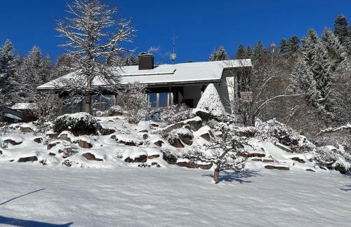 Haus Galerie St Blasien - Foto 21