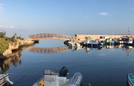 Home Music & Love - Foto 69