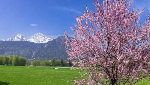 Triembachhof - Foto 5