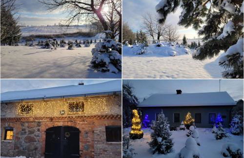 Gęsia Sielanka - Foto 47