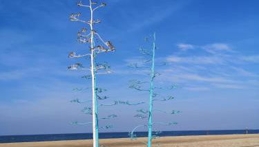 CASA en la BAHIA DE CÁDIZ - Foto 5