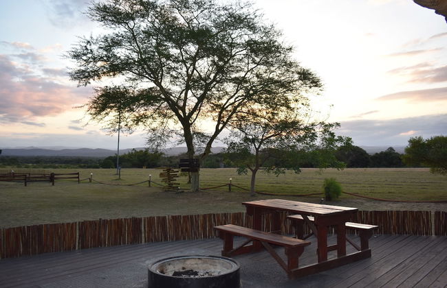 Amorello Safari Park - Photo 60