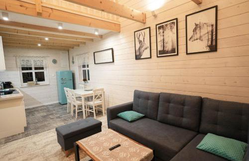 Kwiat Paproci - Foto 22