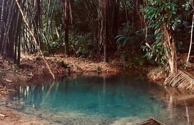 Orchard House - Photo 11