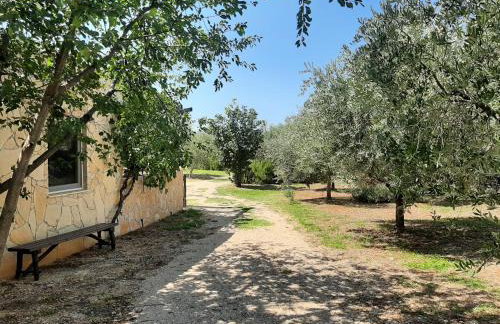 Holiday House Pulina - Foto 26