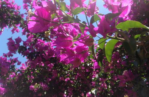 Leftheris villa - Photo 15