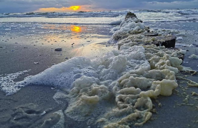 Appartements Post Hiddensee in Vitte - Foto 14