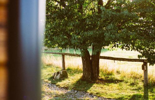 Przewietrzona Głowa - Foto 50