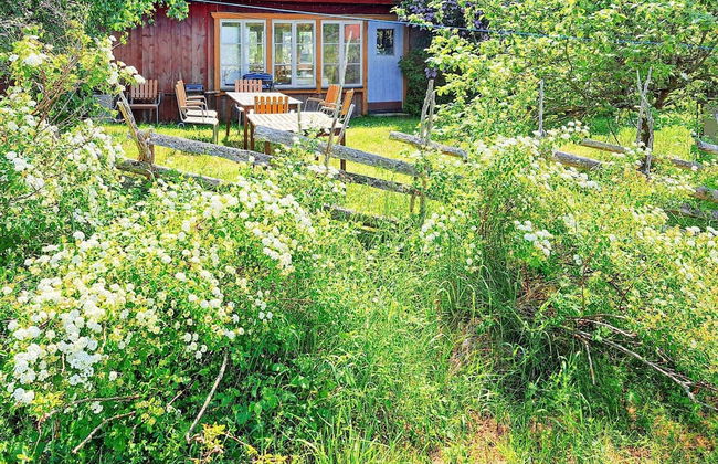 4 Person Holiday Home in Gotlands.tofta - Photo 66