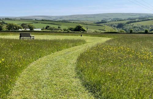 Shearwater, Moor and Sea Holidays, lovely tranquil space between Exmoor and the North Devon Coast - Foto 13