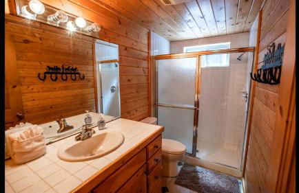 Island Park Hideaway -Bill's Island -Hot Tub -BBQ - Foto 22