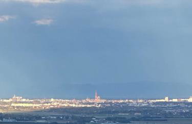 L'écrin d'Anne et Stéphane - vue sur Strasbourg - Foto 15