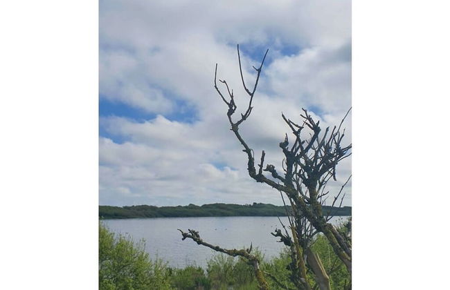 De Seekobb -beachgoers - Foto 24