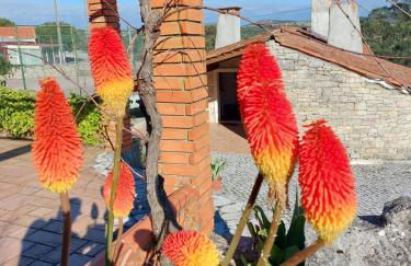 Chou da Covinha - Foto 18