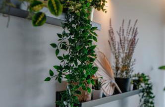 OakTree Villa - Quinta da BellaVista - Foto 18