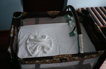 V do Lago Negro - Photo 27